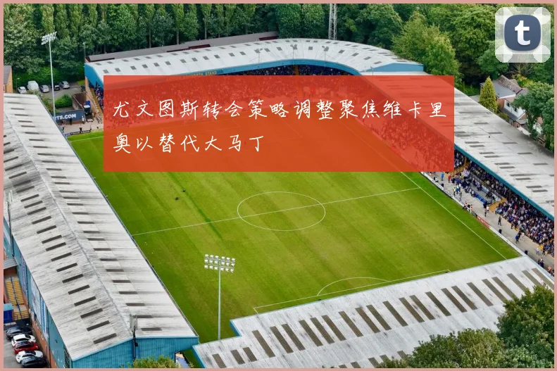尤文图斯转会策略调整聚焦维卡里奥以替代大马丁